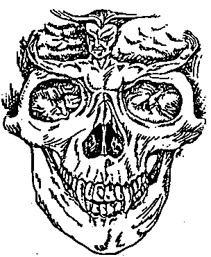 magic2.bmp (14862 bytes)